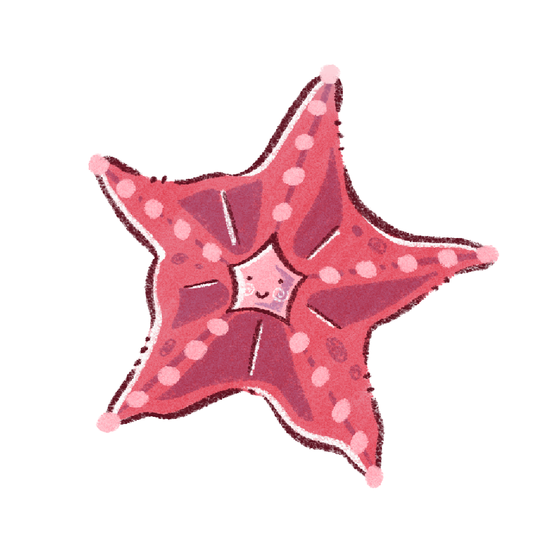 Sticker Etoile de mer