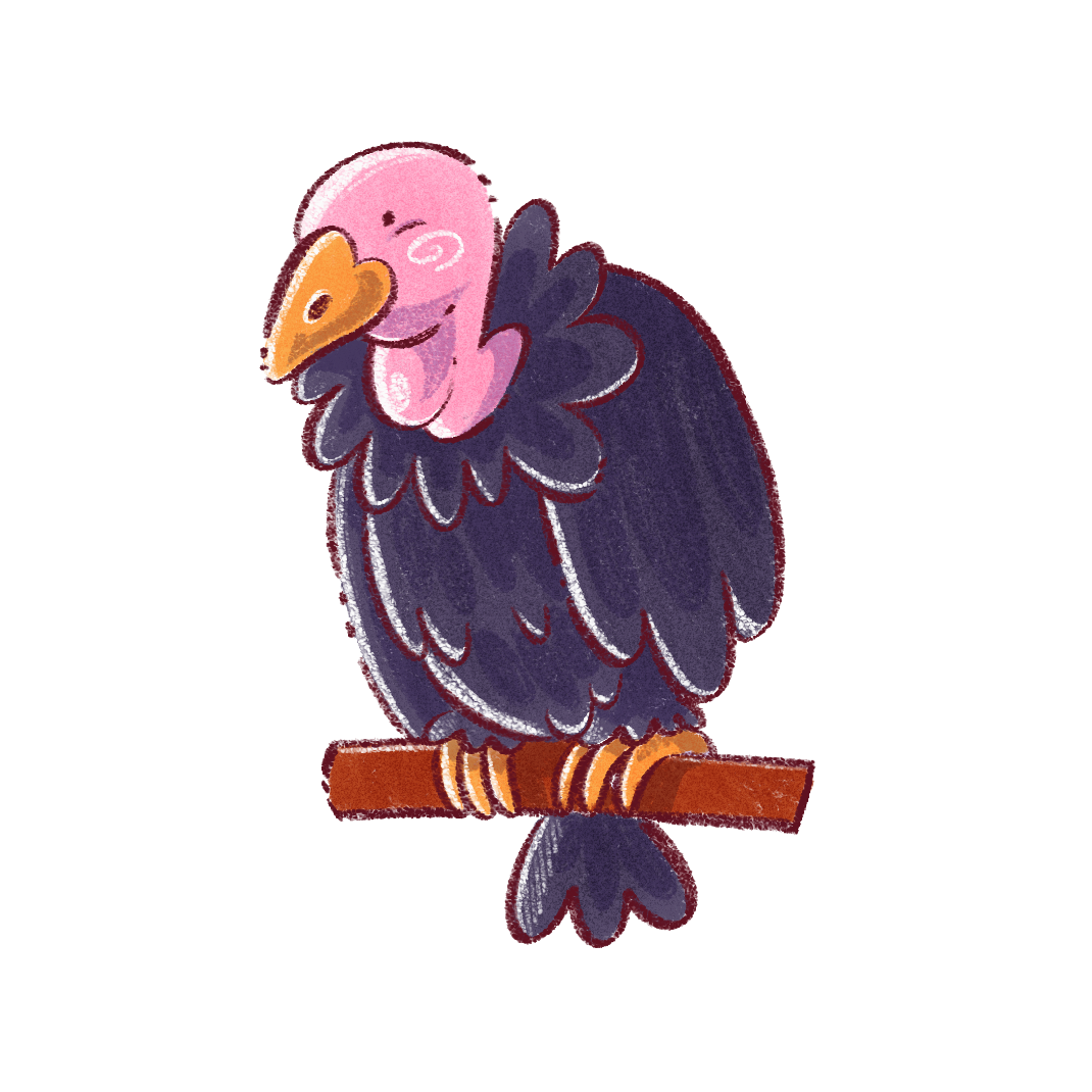 Sticker Vautour
