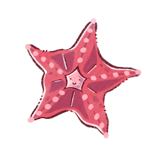 Sticker Etoile de mer