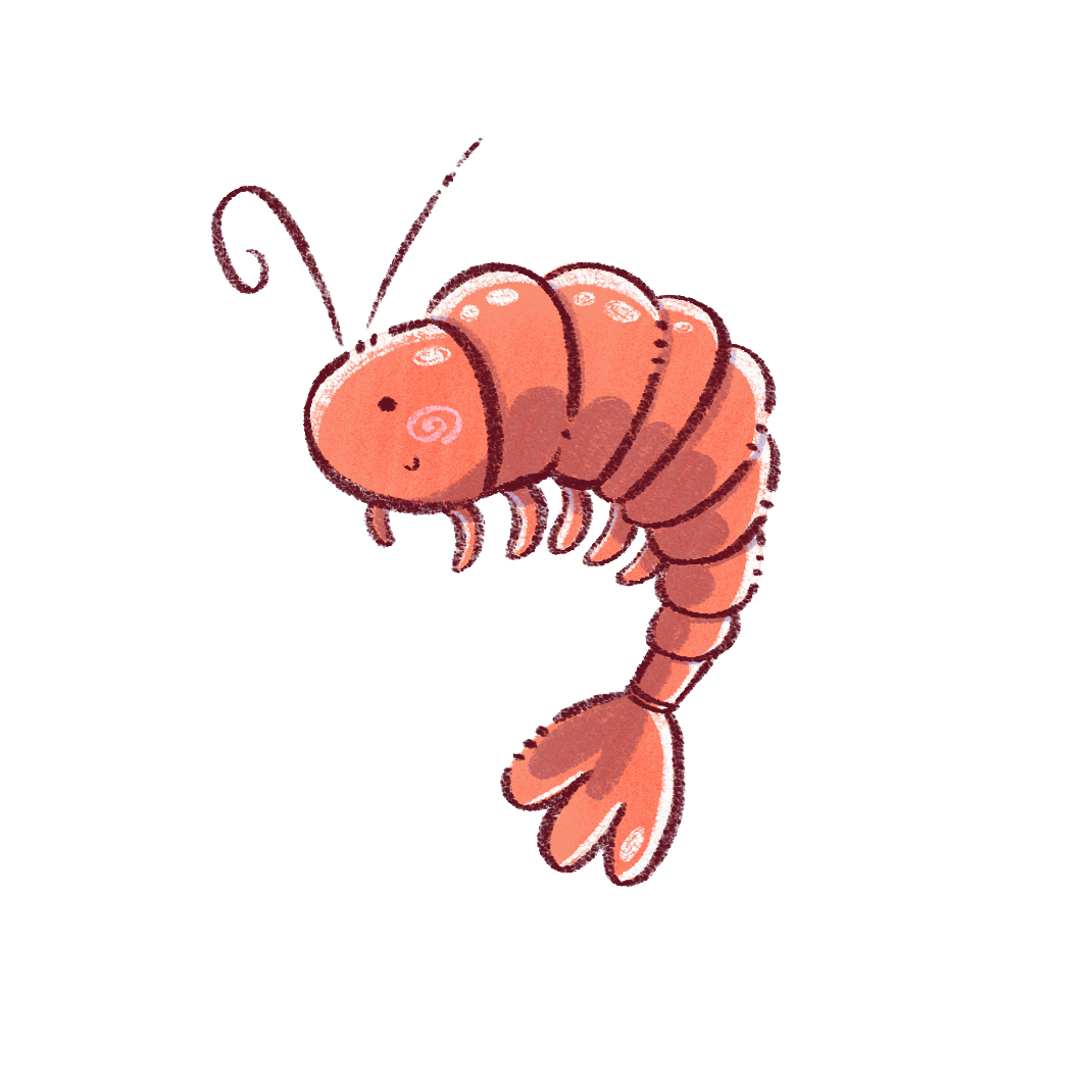 Sticker Crevette