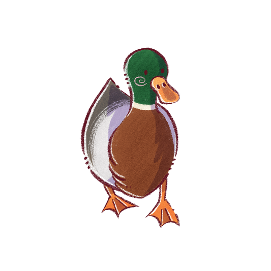 Sticker Canard